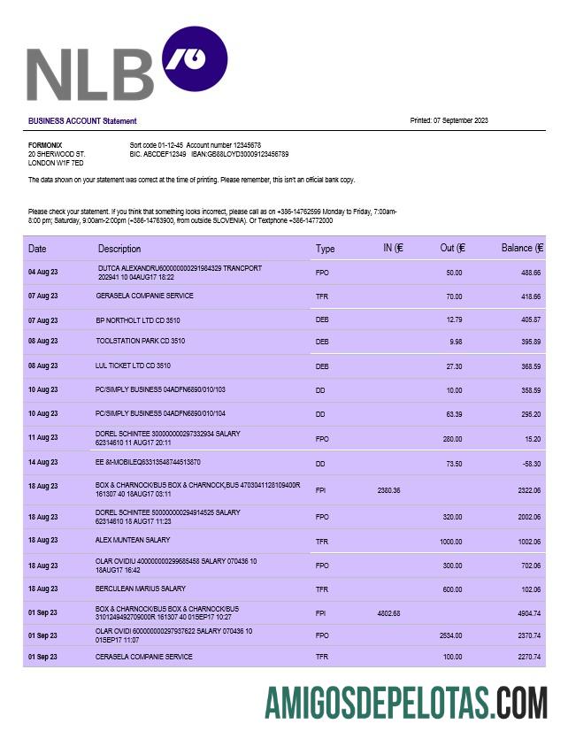 Baixável NLB Bank Firm modelo de extrato de conta Word e PDF
